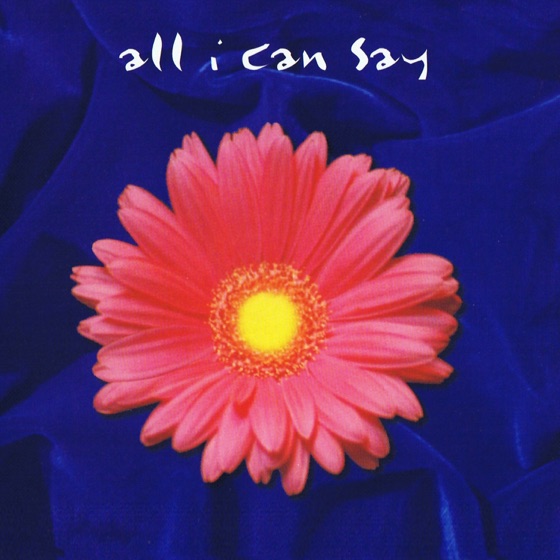 Cover artwork for All I Can Say