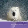 Baby White Noise Series: Hair Dryer song lyrics