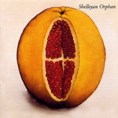 Shelleyan Orphan - Dolphins