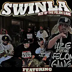 Rize Of The Felon Gang by Swinla album reviews, ratings, credits