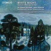 White Night: Impressions of Norwegian Folk Music artwork