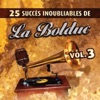 25 succès inoubliables de la Bolduc, Vol. 3