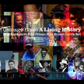 Chicago Blues a Living History artwork