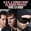 Vive la Vida 2010 REMIXES, 2009