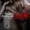 5 a.m. (A Girl Like You) [AudioFun Remix] - Tommie Sunshine lyrics