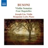 Benjamin Loeb, Geoff Nuttall & Livia Sohn - Violin Sonata No. 1 in E Minor, Op. 29: II. Molto Sostenuto