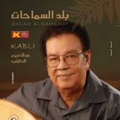 Balad Alsamahat artwork