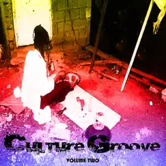 Culture Grooves 2 by Various Artists album reviews, ratings, credits