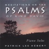 Meditations On the Psalms of King David, 2008