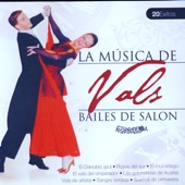 Bailes de Salón Vals  (Ballroom Dance Vals) artwork