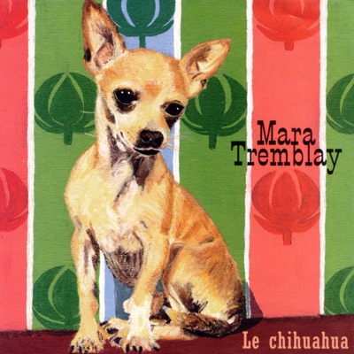 Le chihuahua - Mara Tremblay