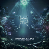 Pendulum - Immersion artwork