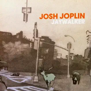 Album herunterladen Josh Joplin - Jaywalker