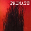 Primate