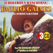 Emilio Gálvez, el Indio Grande - 40 Boleros y Rancheras artwork