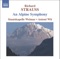 Eine Alpensinfonie (An Alpine Symphony), Op. 64: XIII. Auf Dem Gipfel (On the Summit) artwork