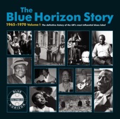 The Blue Horizon Story, Vol. 1 (1965-1970) artwork