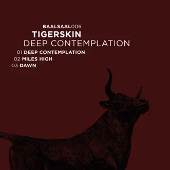 Deep Contemplation - EP by Tigerskin album reviews, ratings, credits