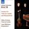 Viola da gamba Sonata in D Major, BWV 1028: II. Allegro cover