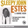 Sleepy John Estes - Down South Blues