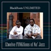 12welve Funktions of Nu'Jazz