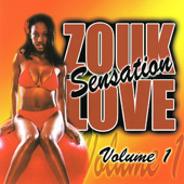 Zouk Love Sensation Vol. 1 - Multi-interprètes