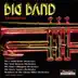 Big Band Favorites album cover