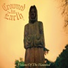 Visions of the Haunted
