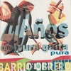 Barrio Obrero - 40 Años de Gaita Pura, 1995