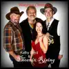 Bluegrass Christmas (2011) - Single album lyrics, reviews, download