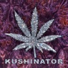 Kushinator - I Am Going Insane