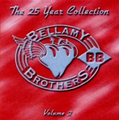 The 25 Year Collection, Vol. 2 (Re-Recorded Versions) artwork