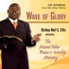 Wave of Glory