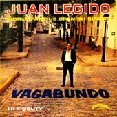Vagabundo (World Famous Spanish Singer) artwork