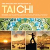 Tai Chi: The Special Hits Selection