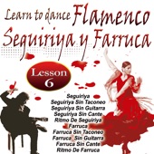 Learn To Dance Flamenco-Seguiriya Y Farruca artwork