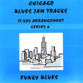 Chicago Blues Jam Tracks Funky Blues artwork