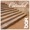 Citadel (Blufeld Deeply Remix) - Bax lyrics