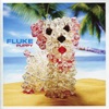 Fluke