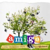 Amigo