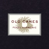 Old Canes - Trust