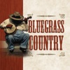 Bluegrass Country, 2008