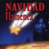 Navidad Flamenca & Jens Viggo Fjord - Navidad en la Plaza