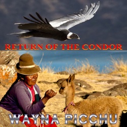 Wayna Picchu - Corazon Alegre