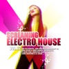 Screaming Electro House Vol. 2