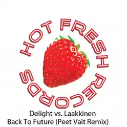 Back to Future 2011 (Peet Vait Radio Edit) - Single - Delight Back to Future 2011 (Peet Vait Radio Edit) - Single - Delight