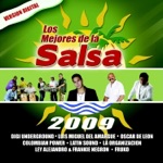 Si No Te Hubieras Ido