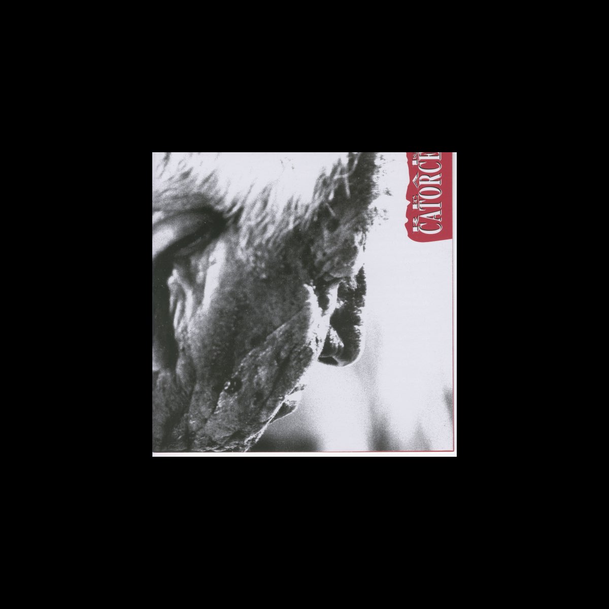 Cicatrices di Real de Catorce su Apple Music