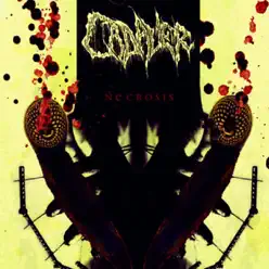 Necrosis - Cadaver
