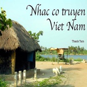 Nhac Co Truyen Viet Nam artwork